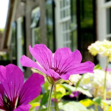 De Oude Heerd Bed & Breakfast *
