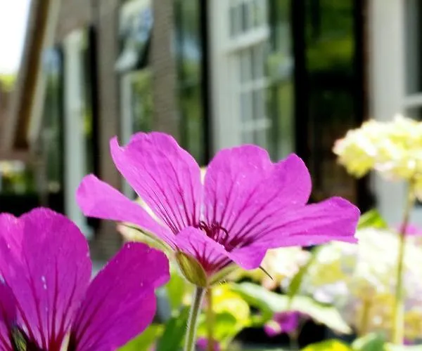 De Oude Heerd Bed & Breakfast 4*